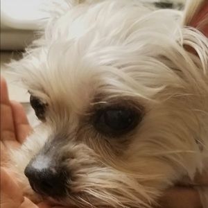 Meet your Posher, Venetia